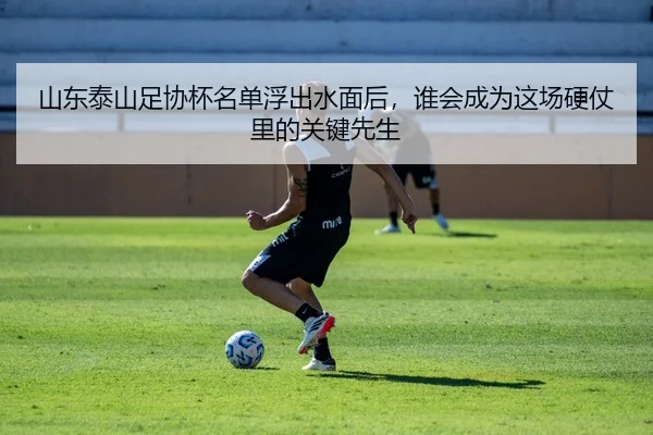 山东泰山足协杯名单浮出水面后，谁会成为这场硬仗里的关键先生